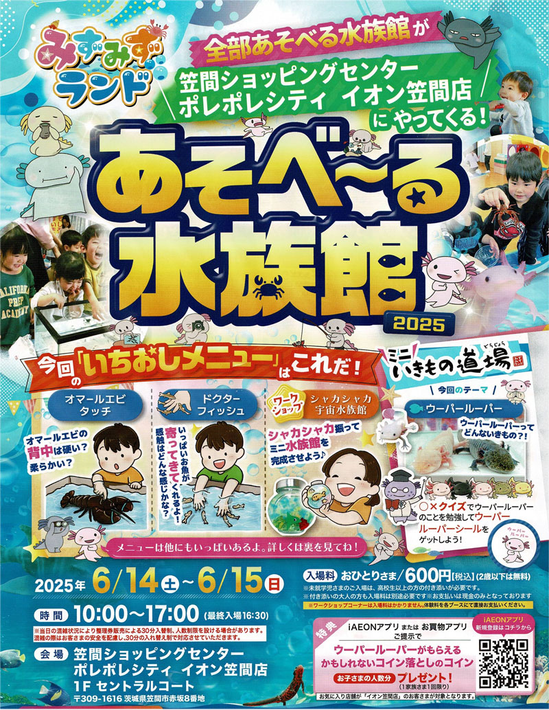 宮村　アクスタ　水族館　ポップアップ あそべる水族館がイオン笠間店にやってきます！ - かさまブログ
