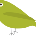 笠間市の鳥「うぐいす」