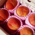 【体験レポ】『新星旅行会』もも狩りツアーに行ってきました🍑