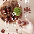 【秋の味覚まつり】第19回 かさま新栗まつり 2025 開催！