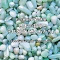 【2026年1月14日～開催】石の百年館 企画展「日本の翡翠とそれを取り巻く石たち」